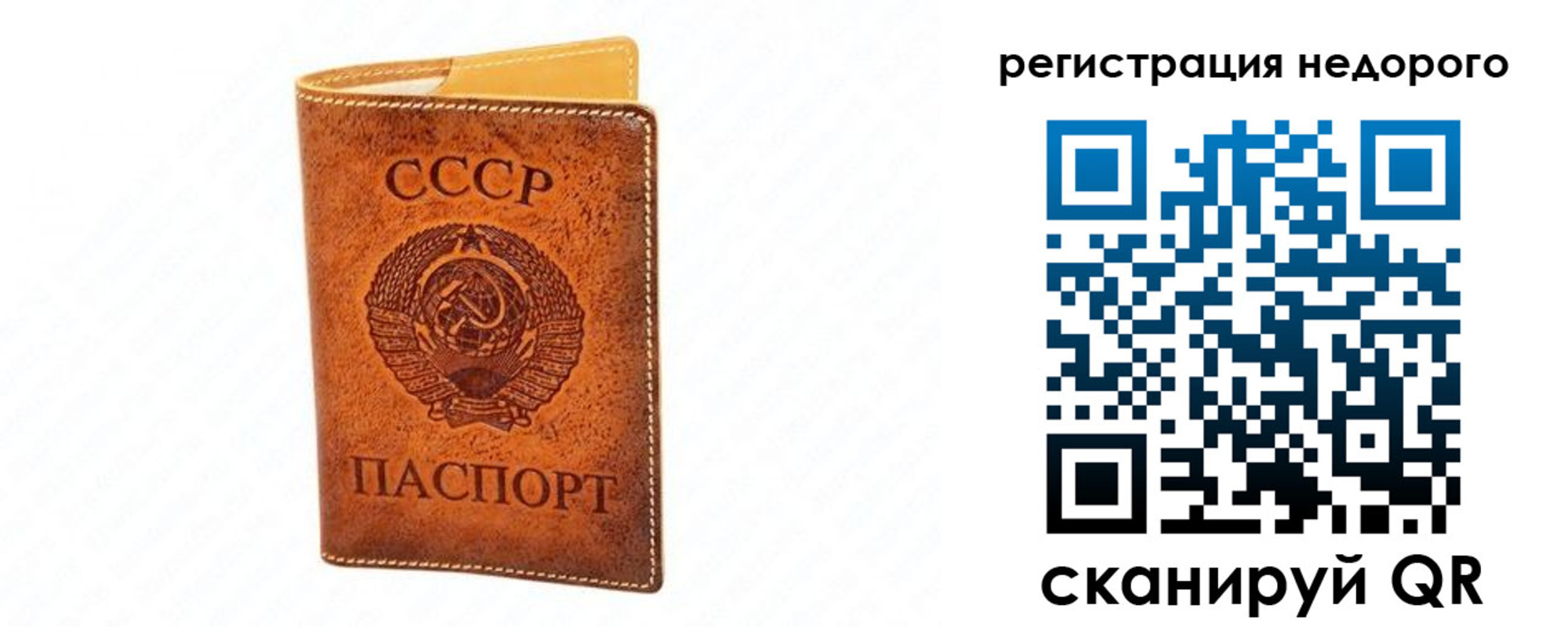 временная регистрация собственник в Светлогорске