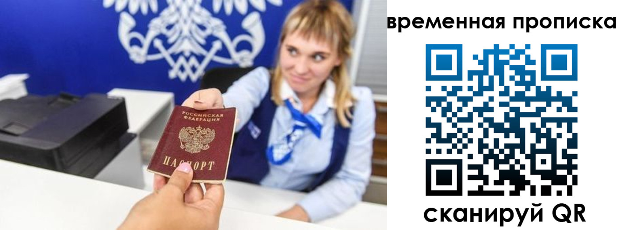 прописка штамп в Светлогорске